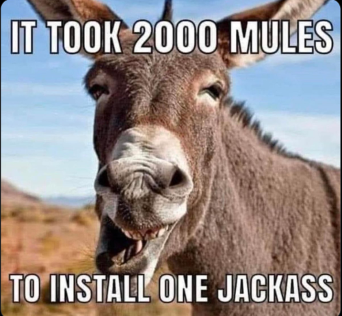 2000 mules