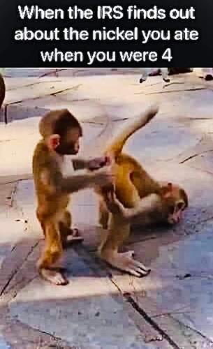 FB_IMG_1687543600874