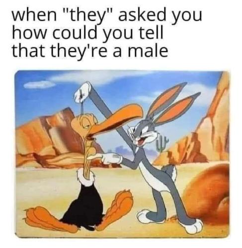 FB_IMG_1686156955158