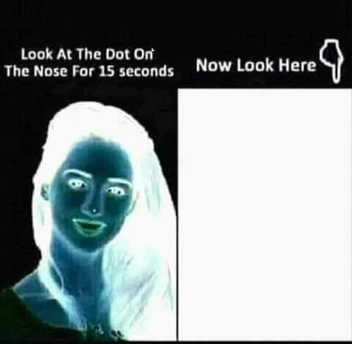 FB_IMG_1686856243917