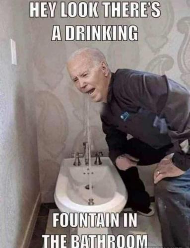 2e247387-bf0c-49ac-a785-8283857c9890