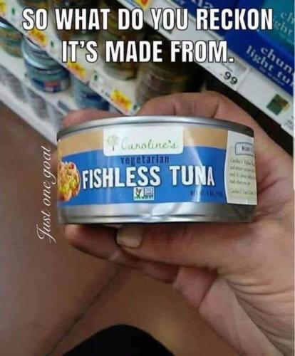fishless tuna