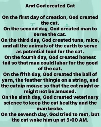 289030145_3208161676127931_1808999882183148069_n