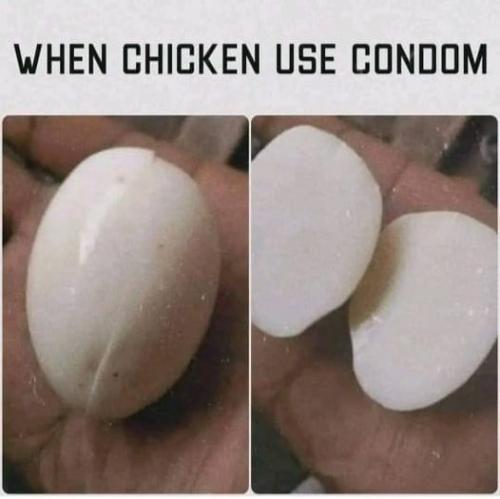 355865030_252052160892635_3837003898862489825_n