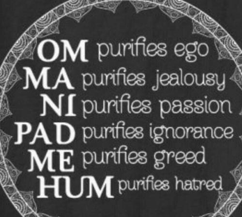 353670767_62945612591