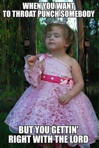 sngine_35ed7b846fac8ec151813a6cb61fac30