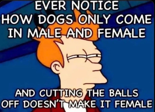 Dogs teach gender