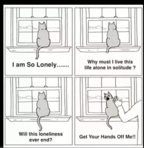 Screenshot_20230619_162210_Gallery