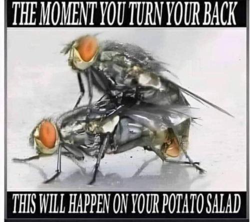 FB_IMG_1686157614763