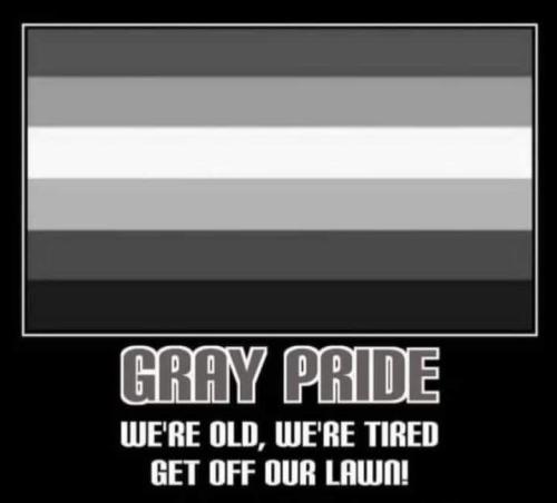 FB_IMG_1686096938222