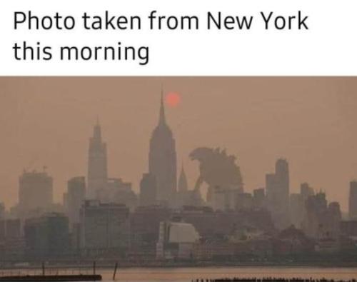 Screenshot_20230610_110726_Wimkin Free Speech Social Media