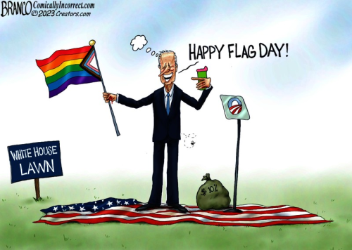 biden flag day