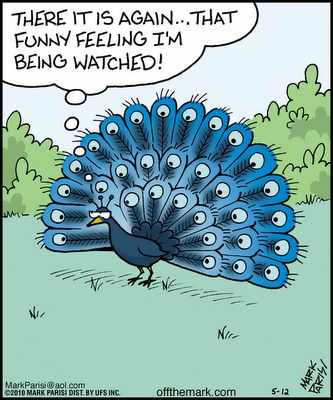 289460029_10159786789980767_7713772940112488840_n