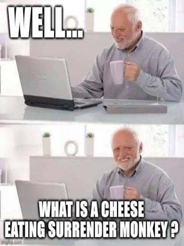 FB_IMG_1687976416684