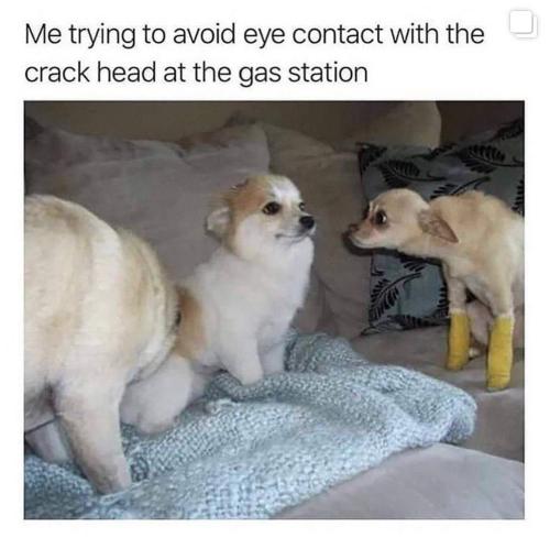 photo_2023-06-17_15-46-16