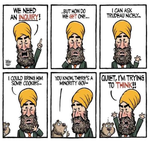 we need an inquiry
