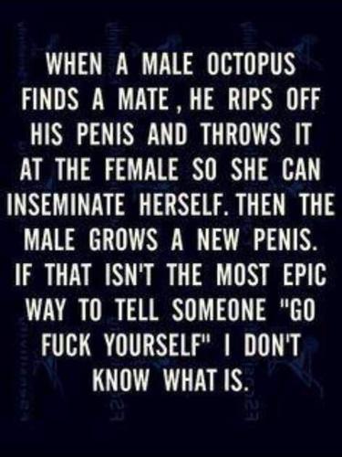 FB_IMG_1686320006933