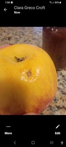 Screenshot_20230615_070856_Messenger