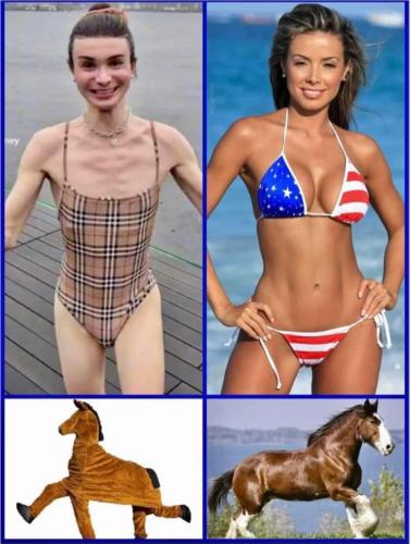 FB_IMG_1686678713626