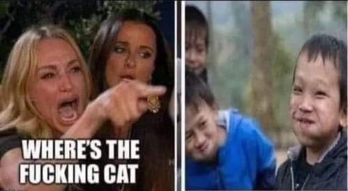 FB_IMG_1685632891738