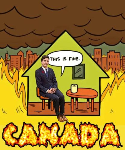 FB_IMG_1686238531353