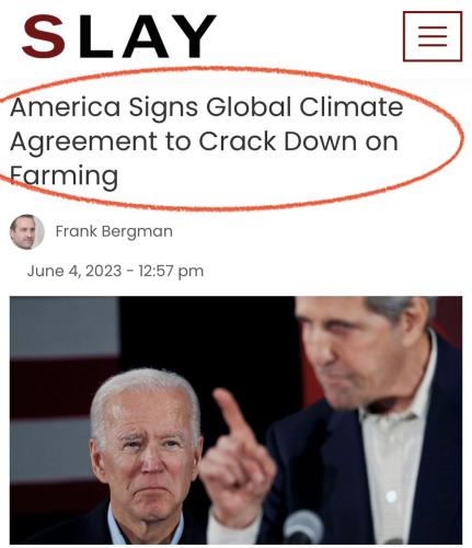 IMG_20230605_164922_930