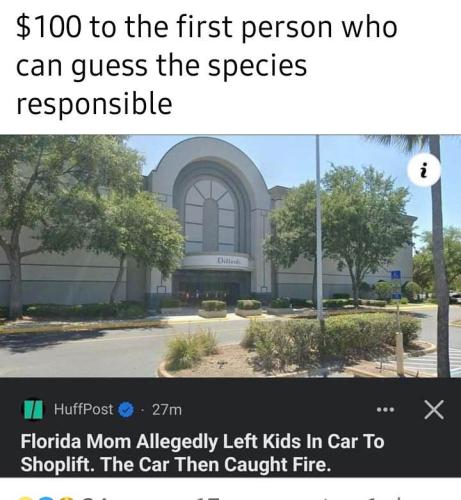 received_1559252761264431