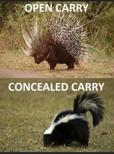 FB_IMG_1687105289908