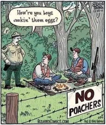 no poachers