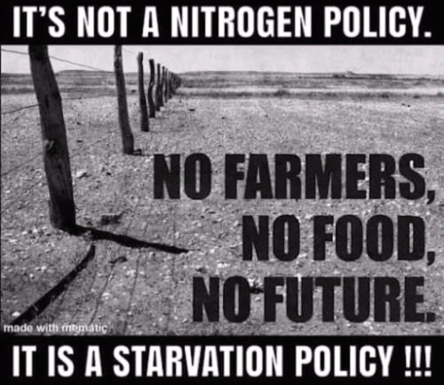 Screenshot_2023-06-02-13-29-23_kindlephoto-365102465