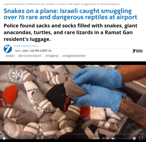 Screenshot_2023-06-02-10-16-49_kindlephoto-343960582