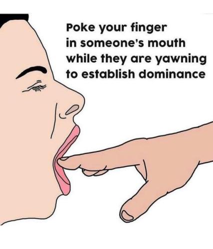 354460773_6214539108662851_8130749465393083551_n