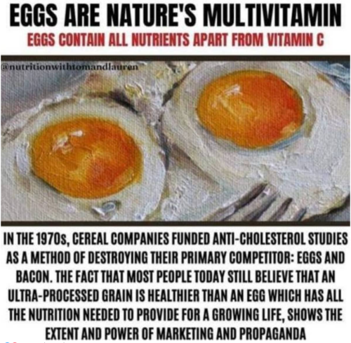 Screenshot_2023-06-01-02-09-40_kindlephoto-290678754