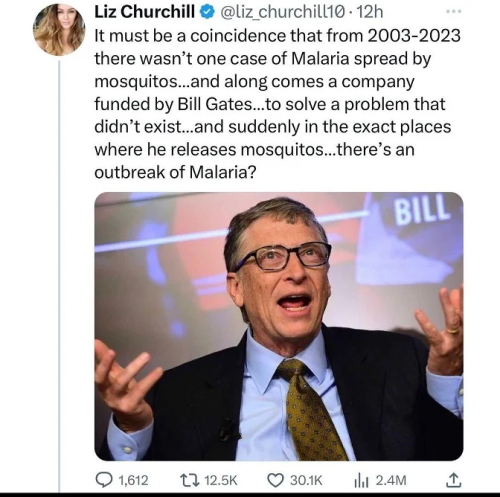 Bill Gates malaria
