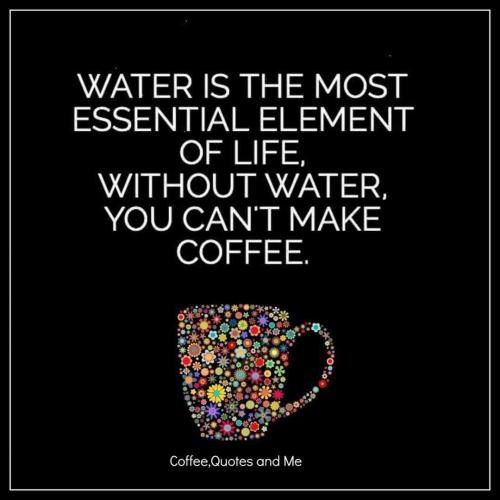 FB_IMG_1687362782126