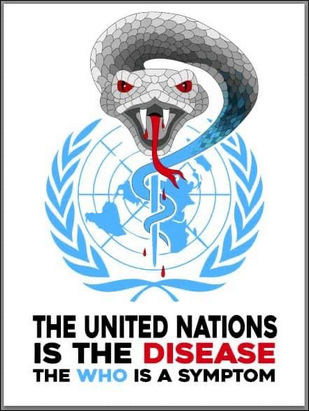 unitednations24