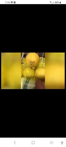 Screenshot_20230615_071027_Messenger