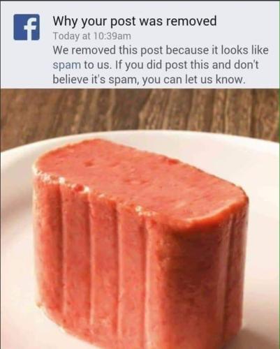 FB_IMG_1686768889386