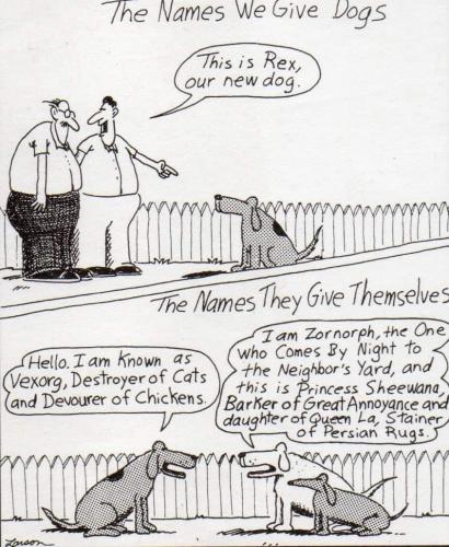 355474559_241845315276135_6137641958338740467_n