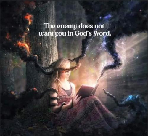 9ba83556-8a66-4fbb-b245-c79ba16c4425