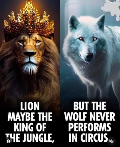 FB_IMG_1686983894959