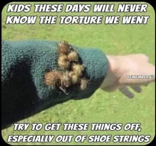 kids these days