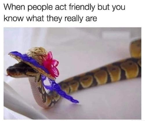 FB_IMG_1687107577936