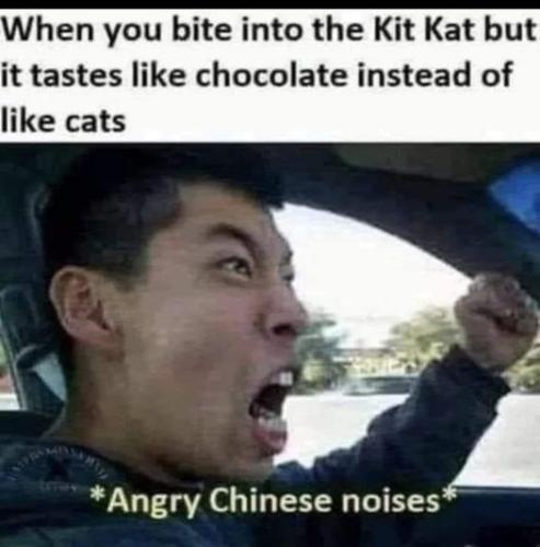 356632003_586992046950924_7176414890430049221_n