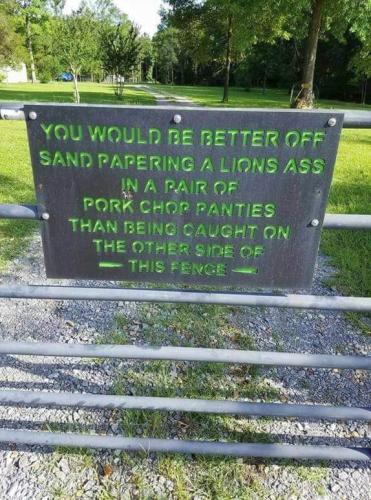 FB_IMG_1687357877305