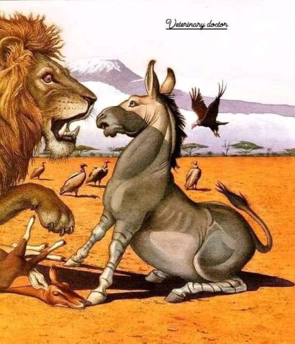 Fable: Don't Argue With Donkeys