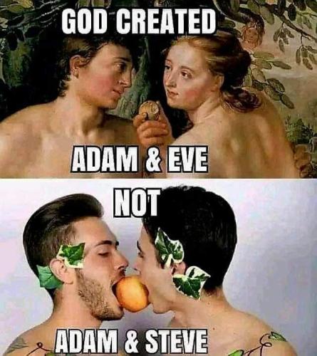 FB_IMG_1686426155791