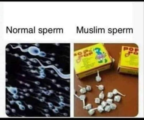 FB_IMG_1687629649128