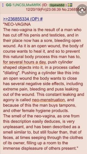 neo-vagina
