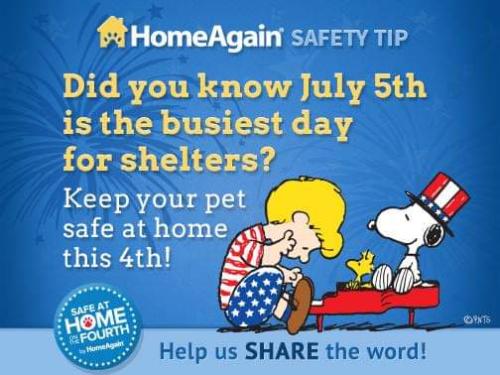 11:31:18 GMT-0500 (CDT)